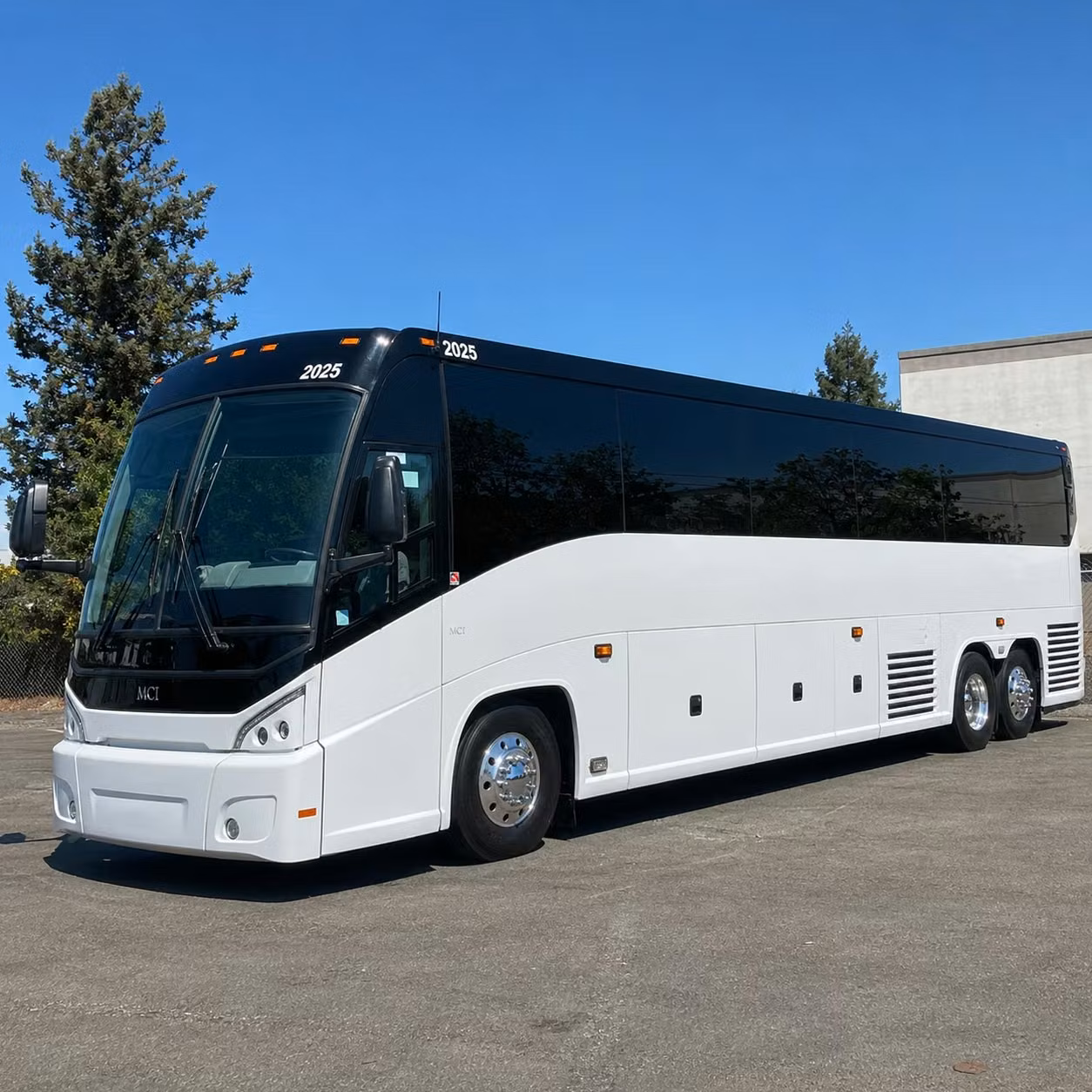 abilene zoo and outdoor science field trips made easy with charter bus rentals